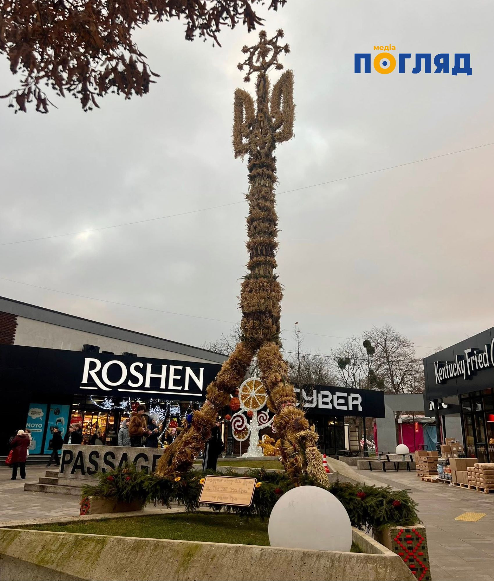 У Білій Церкві встановили найвищого дідуха України (ФОТО) - зображення